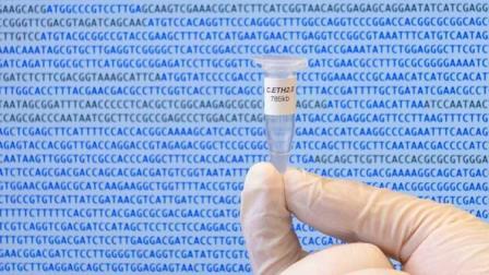 Новое исследование предлагает коррекцию генов в утробе матери